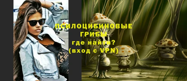 мяу мяу мука Баксан