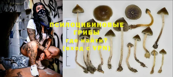 мяу мяу мука Баксан