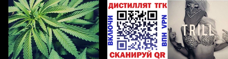 цена OMG вход Дистиллят ТГК гашишное масло Звенигово