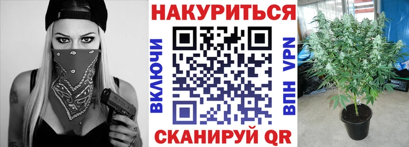 Бошки Шишки индика  mega как войти  Звенигово 